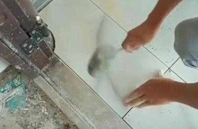 地砖缝不能正对入户门