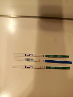 梦见自己来例假了见血