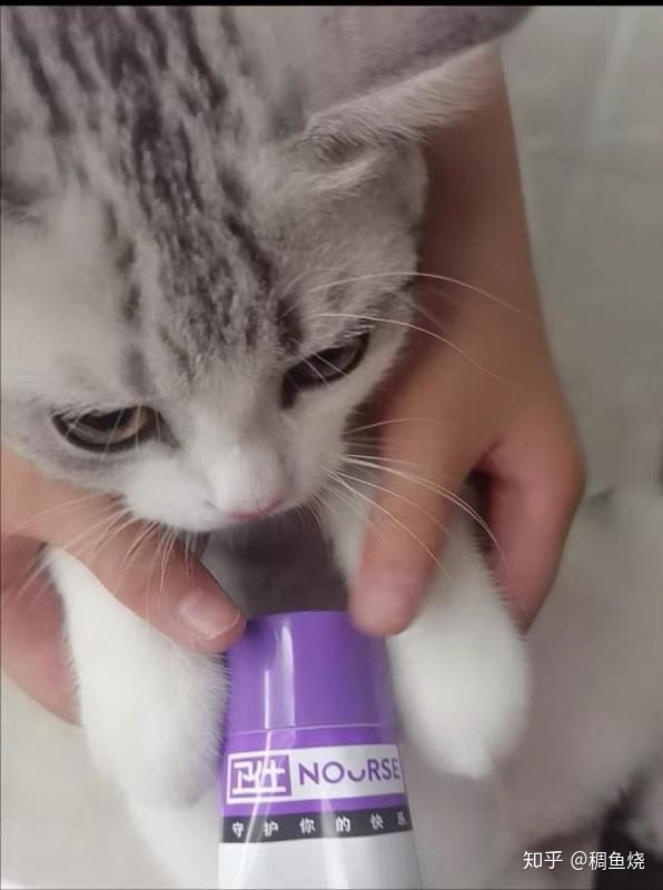猫咪化毛膏一天吃多少合适