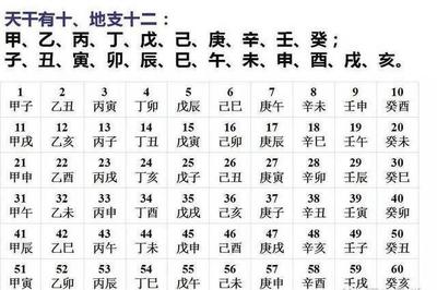 阳历是啥