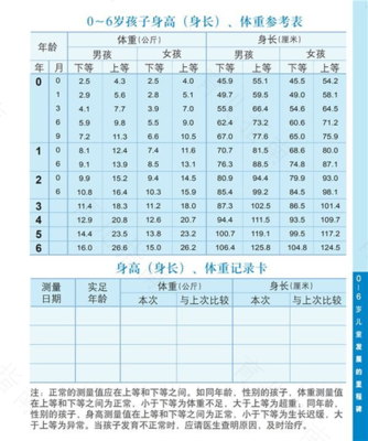 儿童发展评估手册怎么写