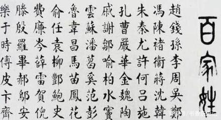 柏取名字