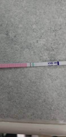未怀孕试纸图片真实