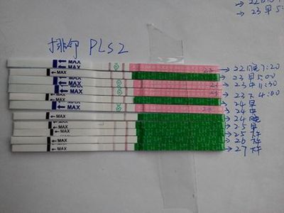 刚怀孕的排卵试纸图片