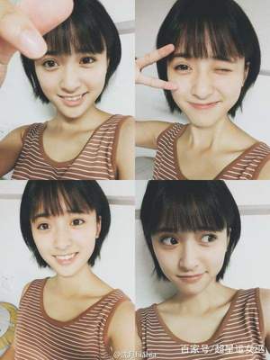 杉菜星座