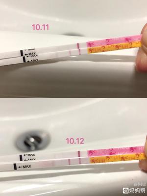 排卵几天能测出来怀孕