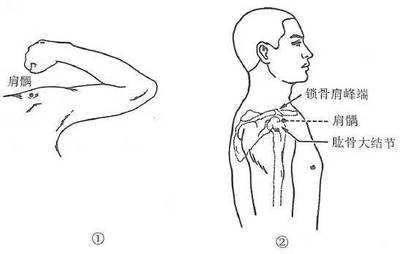 锁骨部位疼是怎么回事