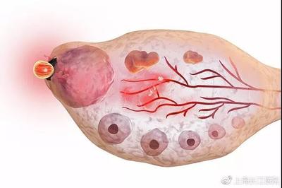 卵泡多大才能怀孕