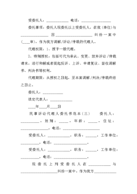委托诉讼代理人