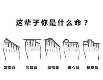 脚的形状看命运