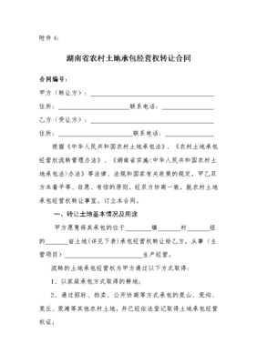 农村承包合同