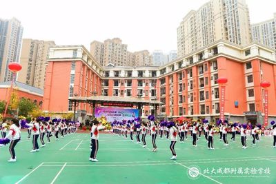 北大成都附属实验学校