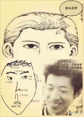 头顶尖面相