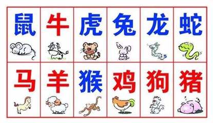 兔相克的生肖