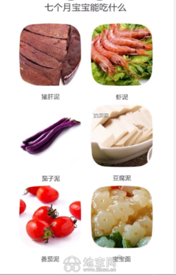 七个月宝宝能吃虾泥吗