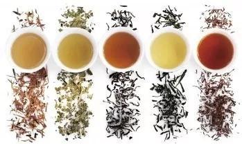 茶的品种