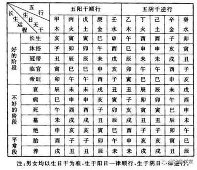 冲五行属什么