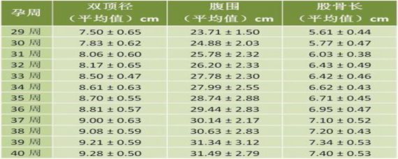 四个月双顶径多少正常