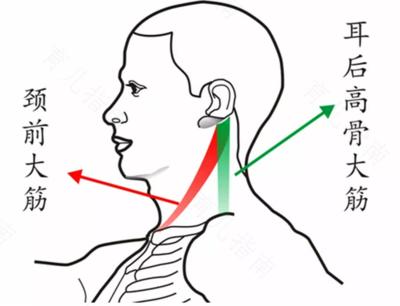 后脖筋疼是怎么回事