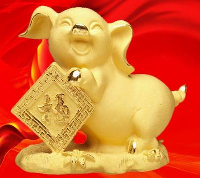属猪今年财运