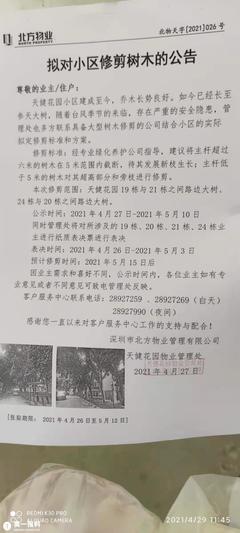 国家对树木补偿标准