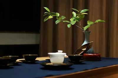 例假可以喝黑茶吗