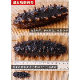 一岁半宝宝能吃海参吗