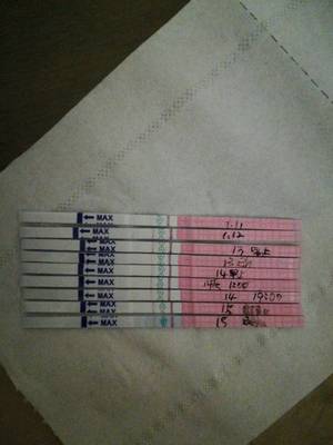 白带和排卵期的关系