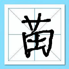 苗姓起名大全集