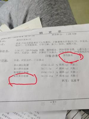 病毒性拉肚子吃什么药