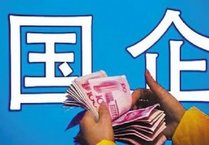 国有企业的股东