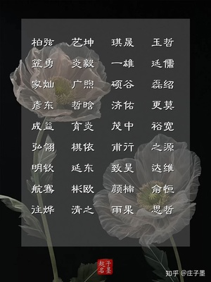 绍字取名男孩霸气名字