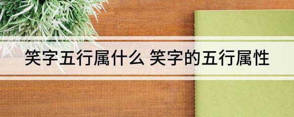 笑属于五行属什么
