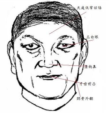 男人面相学