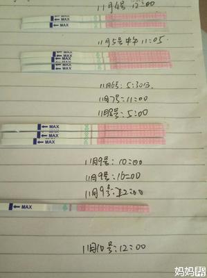 是不是每个月都会排卵
