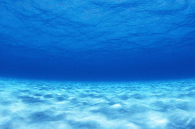 海洋中等深线最密集的地方是