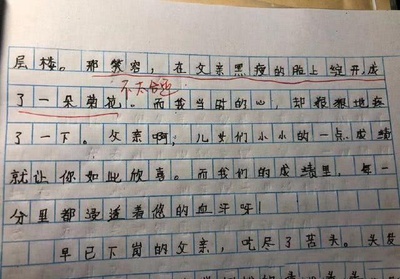 以书比喻成老师的作文怎么写
