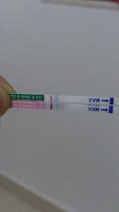 30天能测出来怀孕吗