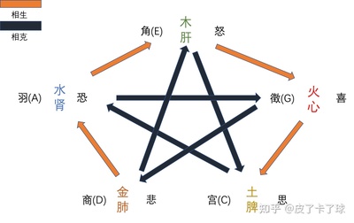 人五行