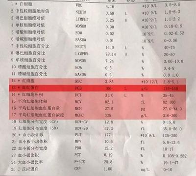 6个月宝宝中度贫血