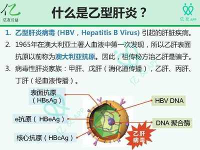 乙肝病毒最低是多少