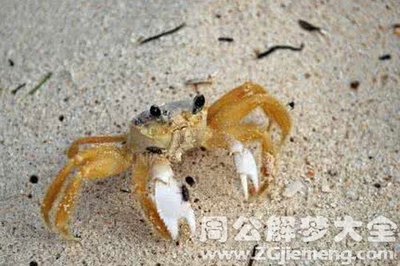 做梦梦到好多螃蟹