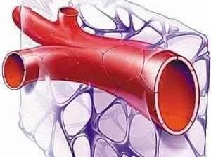有什么好方法疏通小血管堵塞?如何疏通血栓堵塞是最快的方法?