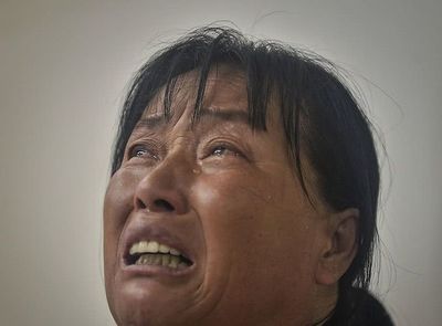 怀孕孩子几个月会动