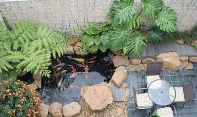 庭院鱼池设计风水