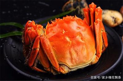 螃蟹名称