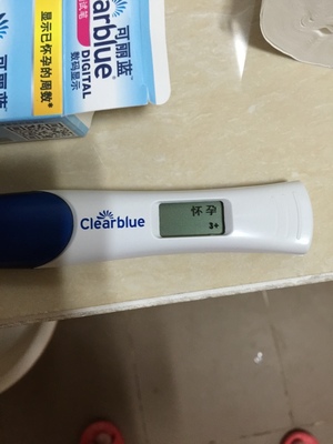 怀孕怎么算周数