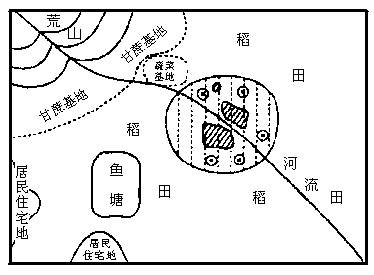 城市郊区适合布局什么农业