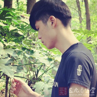 好景不长是什么生肖