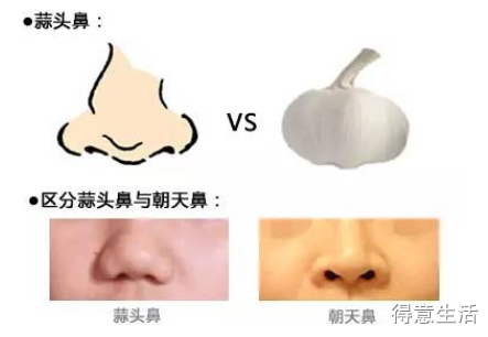 圆头鼻子的女人的面相